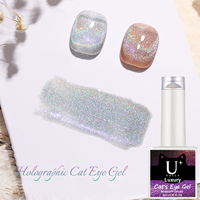 Vernis à ongles gel UV holographique effet œil de chat 8ml, résine à retirer, échantillons gratuits, logo personnalisable