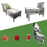 Hoge Kwaliteit Granaatappel Passievrucht Extractor Granaatappelsap en Schilmachine Granaatappelsap Verwerkingslijn