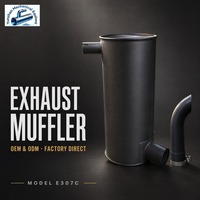 Silencieux pour CAT E307C, 20 ans d'expérience, vente en gros, OEM, ODM, pour moteur diesel, générateur, bulldozer, excavatrice, chargeuse