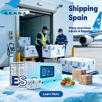 Agente de Transporte Marítimo España, Flete Aéreo Valencia Palma de Mallorca, Transitario de Aeropuerto, Empresa de Transporte Puerta a Puerta