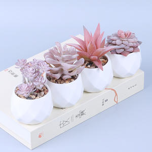 Vente flash : <span class=keywords><strong>Mini</strong></span> plante succulente en pot de bureau en forme de diamant rose, en PVC souple, haute simulation, anti-chute, décoration de bureau, livraison instantanée - Product Image 4