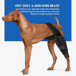 Attelle de genou pour chien pour déchirure du ligament croisé antérieur, pattes arrière, attelle pour pattes arrière de chien, récupération des blessures, manchon de soutien, alternative au bandage, protecteur - Product Image 2