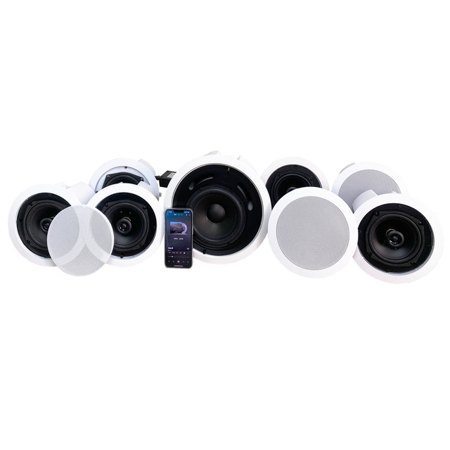 Ceiling Speaker Multi-Room XLR WIFI Speaker with Dolby Digital and DTS Support