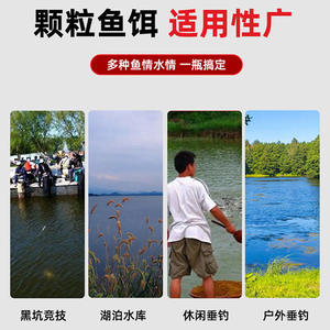 Granulés d'appât frais pour carpe, prêts à l'emploi, pour la pêche en eau douce, fabriqués en Chine - Product Image 3