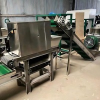 Machine entièrement automatique de haute qualité pour peler l'ail / Machine à peler l'ail en chaîne