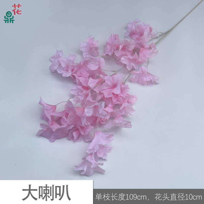 Grand haut-parleur HN rose