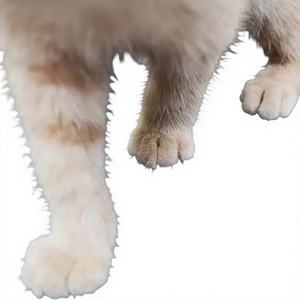 Sous-verre chauffe-tasse double couche imperméable et anti-urine, tapis de récupération facile à nettoyer, antidérapant, protection pour toilettes, grand tapis anti-rayures pour pieds - Product Image 1