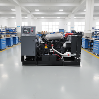 Groupe électrogène diesel continu Leiming Power 300-625 kW 500 kVA avec ATS, type silencieux