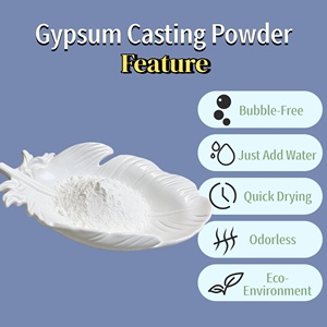 Poudre de gypse alpha haute résistance, alternative au Jesmonite, résine écologique, poudre de gypse blanc pour moulage, plâtre de <span class=keywords><strong>Paris</strong></span> - Product Image 2