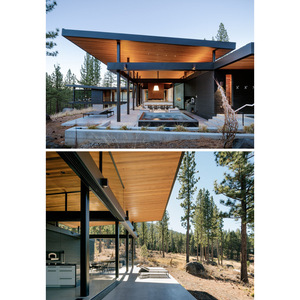 Diseño de villa moderna con estructura de acero ligero y techo plano para uso residencial - Product Image 1