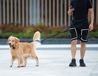 Laisse pour chien mains libres avec poche de rangement zippée et deux poignées rembourrées pour la promenade, le jogging et la course à pied