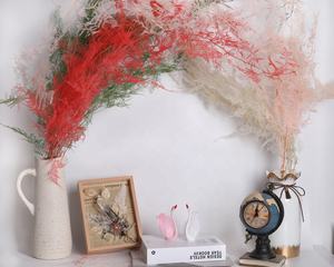 Matériaux d'artisanat de haute qualité, feuilles de fougère Ming séchées, fougère d'<span class=keywords><strong>asperge</strong></span> naturelle conservée pour la décoration de mariage - Product Image 6