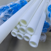 Tuyau d'eau PPR certifié ISO, taille standard, qualité stable, pour les distributeurs et les entrepreneurs en plomberie à l'échelle mondiale