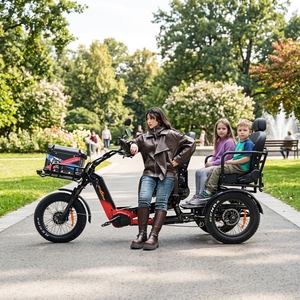 Triciclo Eléctrico de Carretera de Buena Calidad, 2500W, 2 Motores, para Adultos, Carrocería Abierta, 152Ah, 3 Baterías, 400KM, Certificado CE, 48V, 2 Pasajeros - Product Image 2