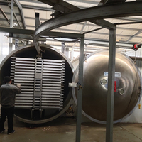 Máquina Secadora al Vacío de Acero Inoxidable, Horno de Secado Industrial para Laboratorio y Fábrica