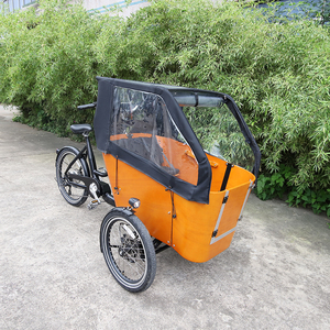 Tricycle électrique <span class=keywords><strong>cargo</strong></span> <span class=keywords><strong>danois</strong></span> à balançoire, batterie au lithium aluminium 36V 250W, moteur sans balais, porte-bagages arrière, vélo <span class=keywords><strong>cargo</strong></span> électrique familial - Product Image 4