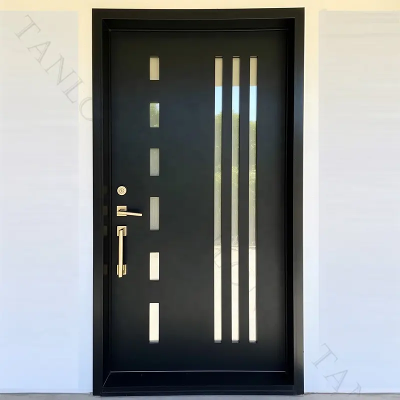 Porte d'entrée de sécurité décorative en métal personnalisée en fer forgé noir moderne intérieur design dernier cri porte en fer