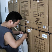 Ausdirect Best LCL + Services d'expédition de fret express Australie Agent d'expédition Sydney Melbourne Dropshipping Chine Australie