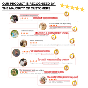 بيع بالجملة فاخر كلاسيكي للربيع مقاوم للماء كلب الصلصال سترة المطر لداشوند وينر داكيل باسوتو مصمم لطيف الحيوانات الأليفة - Product Image 6