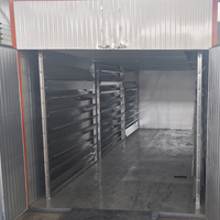 Automatische Voedseldroger 3kW 240V Schaaldehydrator 304SS voor het drogen van mango, banaan, appel, cassave, vis en kokosnoot