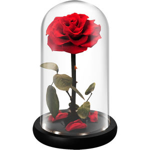 INUNION 2024 Nouveautés Real Forever Eternal Roses Flower In Glass <span class=keywords><strong>Dome</strong></span> - Product Image 1