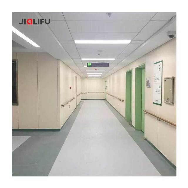 Customized Antibacterial Fireproof HPL Board Hospital Wall Cladding