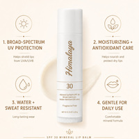 Protection solaire personnalisée pour les lèvres, bloque les rayons UVA et UVB, hydratation longue durée, stick de soin solaire pour les lèvres, baume à lèvres SPF