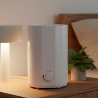 Humidificateur ultrasonique électrique de bureau moderne en plastique 2L, aromathérapie, humidification rapide, faible bruit, contrôle de l'humidité, usage domestique