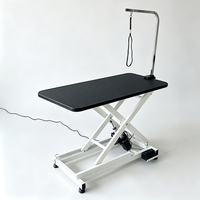 Table de toilettage vétérinaire professionnelle hydraulique robuste avec pompe de levage et bras supérieur pour la vente en gros