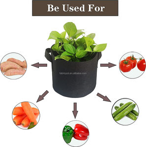 5 gallon tessuto non tessuto biodegradabile idroponica commercio all'<span class=keywords><strong>ingrosso</strong></span> crescere fragola fungo verdura feltro tessuto fioriera pianta crescere borse - Product Image 3