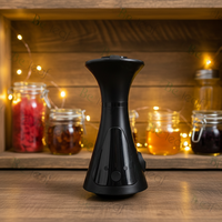 Chicha électronique noire en plastique avec contrôle de température, rechargeable, personnalisable avec logo, accessoires et boîte personnalisables