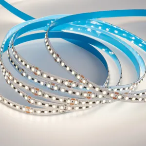 Room decoration led strip light 240 led 20M IC design 10mm blue pink led light strip