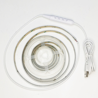 Kits de bandes LED COB USB 5V, contrôle vocal intelligent, guirlandes lumineuses RGB en cuivre, étanches IP33, dimmables, CRI90, éclairage paysager