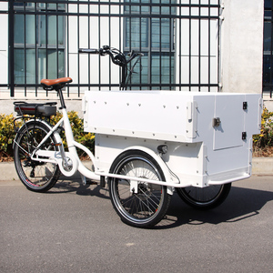 Bicicleta Eléctrica <span class=keywords><strong>de</strong></span> Carga con Puerta Frontal Abatible, Bicicleta <span class=keywords><strong>de</strong></span> Carga Resistente <span class=keywords><strong>de</strong></span> 3 Ruedas, Bicicleta Eléctrica <span class=keywords><strong>de</strong></span> Carga/Bakfiets/Cargobike, Remolque <span class=keywords><strong>de</strong></span> Bicicleta Eléctrica <span class=keywords><strong>de</strong></span> Carga - Product Image 2