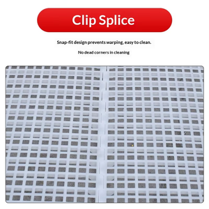 Vente Flash : Plancher à lattes en PP blanc pur pour poulets de chair et élevages - Product Image 5