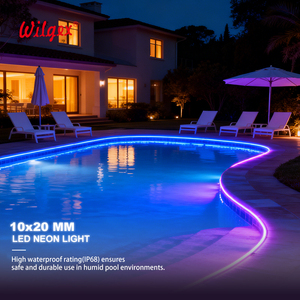 Strisce LED RGBIC per Ingegneria, Illuminazione Esterna di Edifici e Paesaggi, Luci al Neon, Striscia LED 2835 - Product Image 4