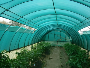 Rete Parasole Anti-UV Trattata in HDPE Vergine al 100% Impermeabile Facile <span class=keywords><strong>da</strong></span> Pulire Portatile Schermo Solare Rete <span class=keywords><strong>per</strong></span> la Privacy - Product Image 5