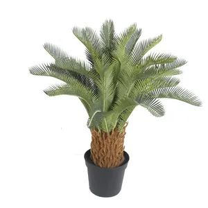 ต้นปาล์มปฏิวัติเขียวใช้ตกแต่งในร่มและกลางแจ้ง,ต้นไม้เทียม Sago Cycas สินค้าจากประเทศจีน - Product Image 1