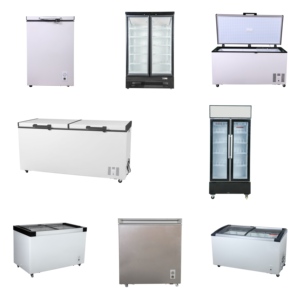 <span class=keywords><strong>Mini</strong></span> Refrigerador Frigo de 218L, 220V, 50Hz, R600a, Acero Inoxidable, Portátil, Eléctrico, para el Hogar - Product Image 5