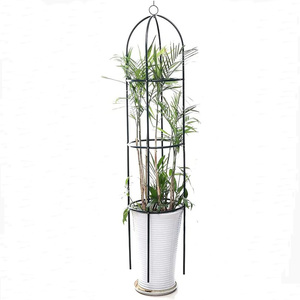 Vente en gros d'usine, cages à plantes en métal 100% pour fleurs, fruits, légumes, concombre, tomate, rose en pot, clématite, pois, haricot - Product Image 1