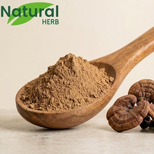Meistverkaufter Reishi-Fruchtkörper Beta-Glucan 30% Polysaccharid Lingzhi Ganoderma Lucidum Pilzextrakt-Pulver Sporen - Product Image 1