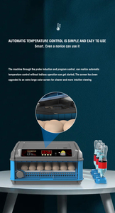 Goldfinch trứng lồng ấp cho nở chim Hoàng Yến với mức giá tuyệt vời - Product Image 4