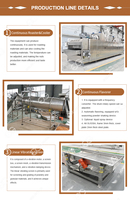 Équipement de production de torréfaction d'amandes entièrement automatique à chauffage au gaz, ligne de torréfaction de graines de tournesol et machine d'aromatisation