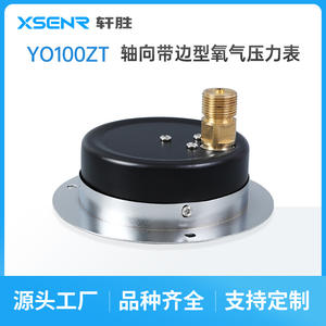Manómetro de Oxígeno Suzhou Xuansheng YO100ZT de 100 mm, Acero Inoxidable, Montaje en Panel, Sin Aceite - Product Image 4