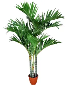 5047 Data Artificial Decorativa Coconut Palm Tree Da China Fabricante fornecedor