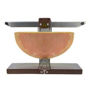 Restaurant Pliable Double Grill Électrique Roue Fromage Chauffage Lampe Triangle <span class=keywords><strong>Suisse</strong></span> <span class=keywords><strong>Raclette</strong></span> Gruyère Fromage Melter Chauffage Machine - Product Image 5