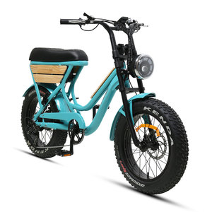 Bicicleta Eléctrica TXED E Nature Tour F con Motor de Cubo Trasero de 250W, 48V, Puños Calefactables, Placa Decorativa de Madera, Neumáticos Gruesos - Product Image 3