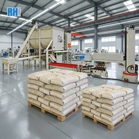 Équipement de mélange de mortier sec en poudre de type simple RH 18,5 kW 380 V, machine d'emballage facile à utiliser, Henan, garantie 1 an