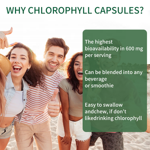 Suplemento alimenticio de venta caliente para bajar de peso, clorofila de sodio y cobre, desintoxicante natural, cápsulas de clorofila de sodio y cobre. - Product Image 5