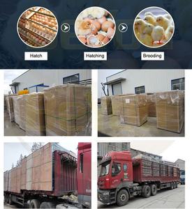 디지털 다단 5280 PCS 계란 용량 완전 자동 인큐베이터 계란 인큐베이터 부화기 - Product Image 6